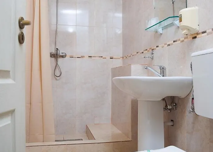 ゲストハウス Pensiunea Pedro 3*