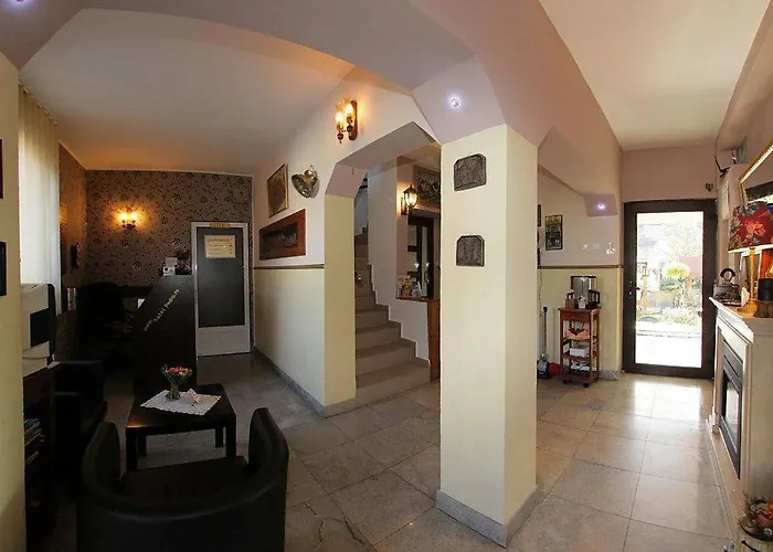 Pensiunea Pedro ゲストハウス 3*