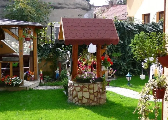 Pensiunea Pedro 3* クルージュ＝ナポカ